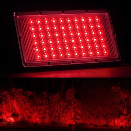 SPARKWORLD 50 W Red LED Brick Flood Light IP65 Waterproof Outdoor Spotlight | Colour: Red (Pack of 1) SPARKWORLD 50 W Red LED Brick Flood Light IP65 Waterproof Outdoor Spotlight | Colour: Red (Pack of 1)