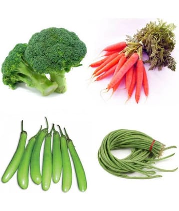Combo of 4 Hybrid Vegetables Seeds for Home Garden (Broccoli, Red Carrot, Green Brinjal & Lobia) F1 HYBRID