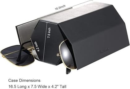 2 Slot Sunglasses Organizer Black, Premium Eyewear Storage Case for Sunglasses and Eyeglasses, Stylish, Durable, and Space-Saving