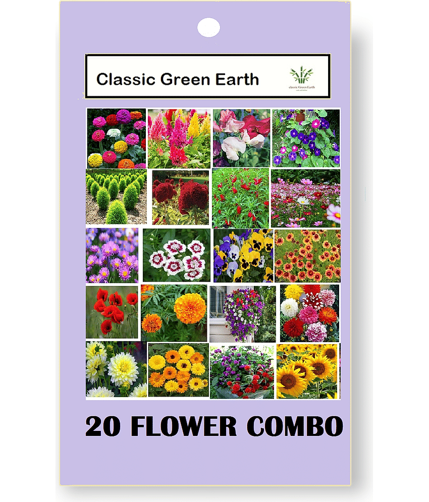 CLASSIC GREEN EARTH - Flower Seeds ( 20 FLOWER COMBO 1500 SEEDS FOR HOME GARDENING )