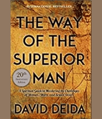 The Way of the Superior Man  (English, Paperback, David Deida)