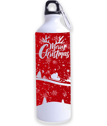 Ros - Multicolor Steel Sippers