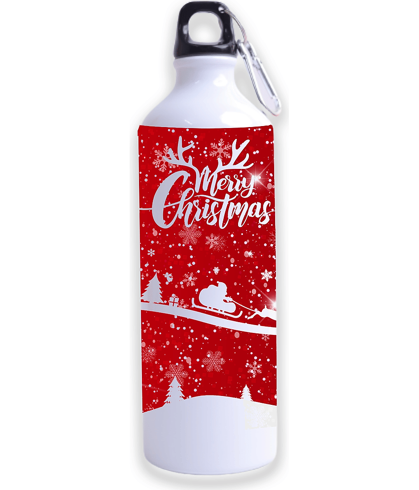 Ros - Multicolor Steel Sippers