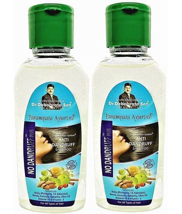 Parampara Ayurved Anti Dandruff Shampoo 100 mL Pack of 2