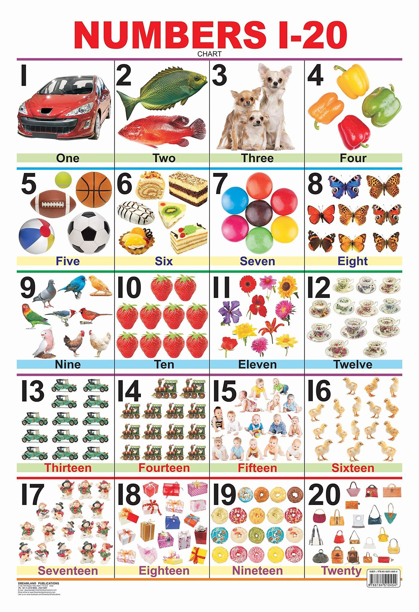 Numbers 1-20 Educational Wall Chart For Kids - Both Side Hard Laminated (Size 48 x 73 cm) [Poster] Dreamland Publications