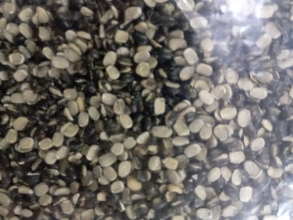 Urad dal loose