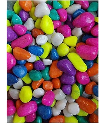 Afast Multicolor Pabbles/Stone For Garden, Plants, Aquarium & Home Decor Wt. 450g