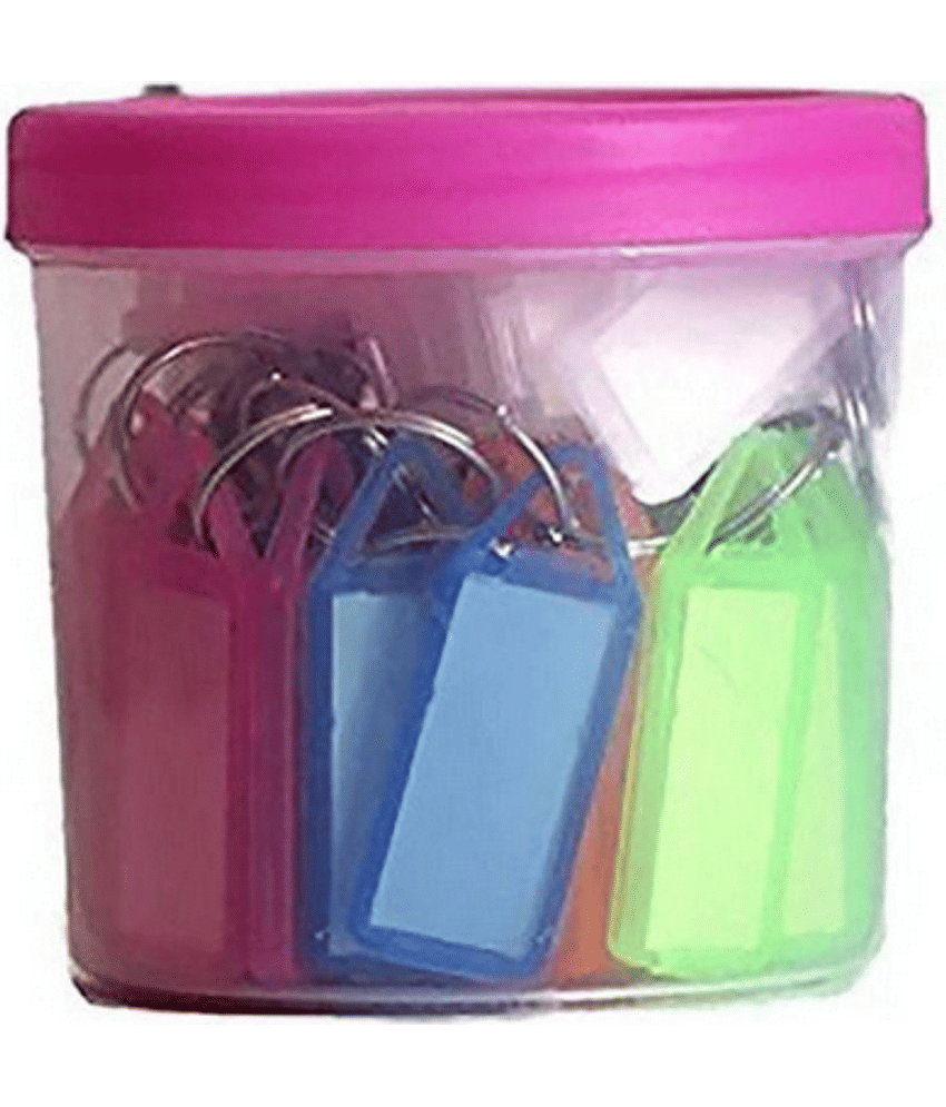 Plastic Key Chain (Pack Of 50) Key Chain