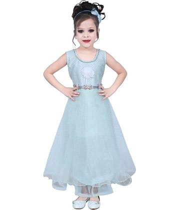 Arshia Fashions Net For Girls ( Pack of 1 , Blue )