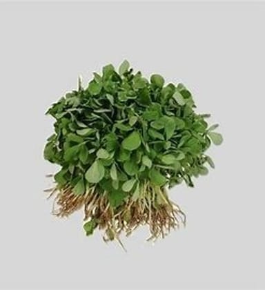 Methi Bunch - Methi Patta - Methi Paan - Fenugreek leaves - 1 Bunch Methi Bunch - Methi Patta - Methi Paan - Fenugreek leaves - 1 Bunch