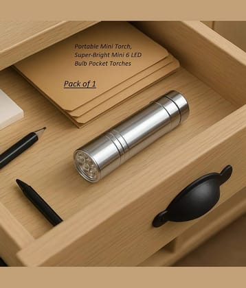 dust n shine - 1W AAA Battery Flashlight Torch ( Pack of 1 )