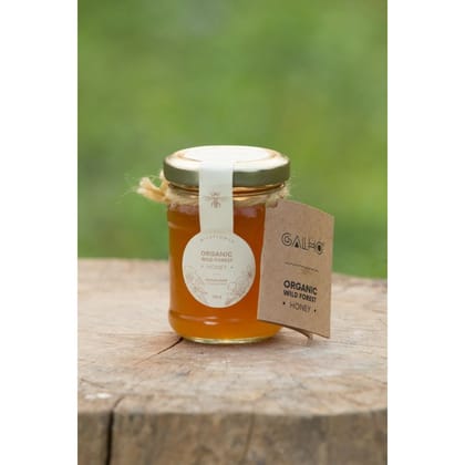 ORGANIC RAW HONEY FROM STINGLESS BEE - 120 gm