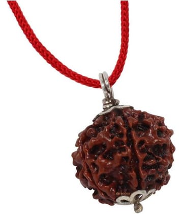 Astrodidi 6 Mukhi Rudraksha Pendant With Lab Certificate