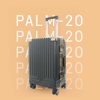 Palm-20