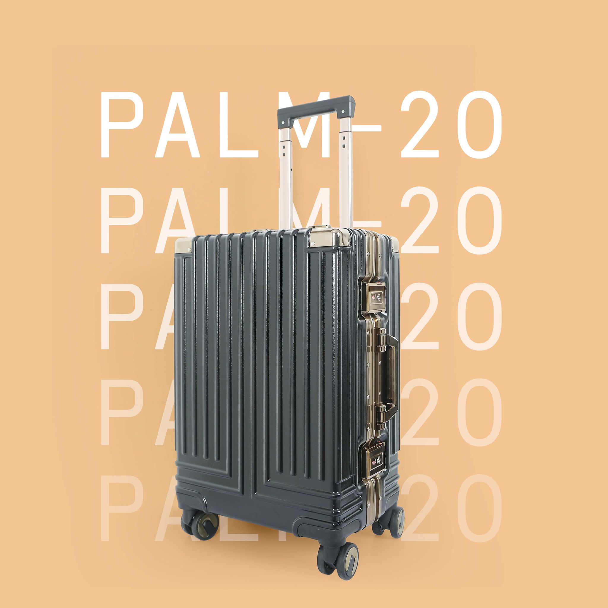 Palm-20
