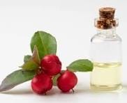 Wintergreen Hydrosol