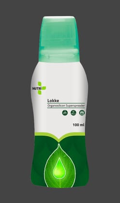 LOKKE NUTRIONE