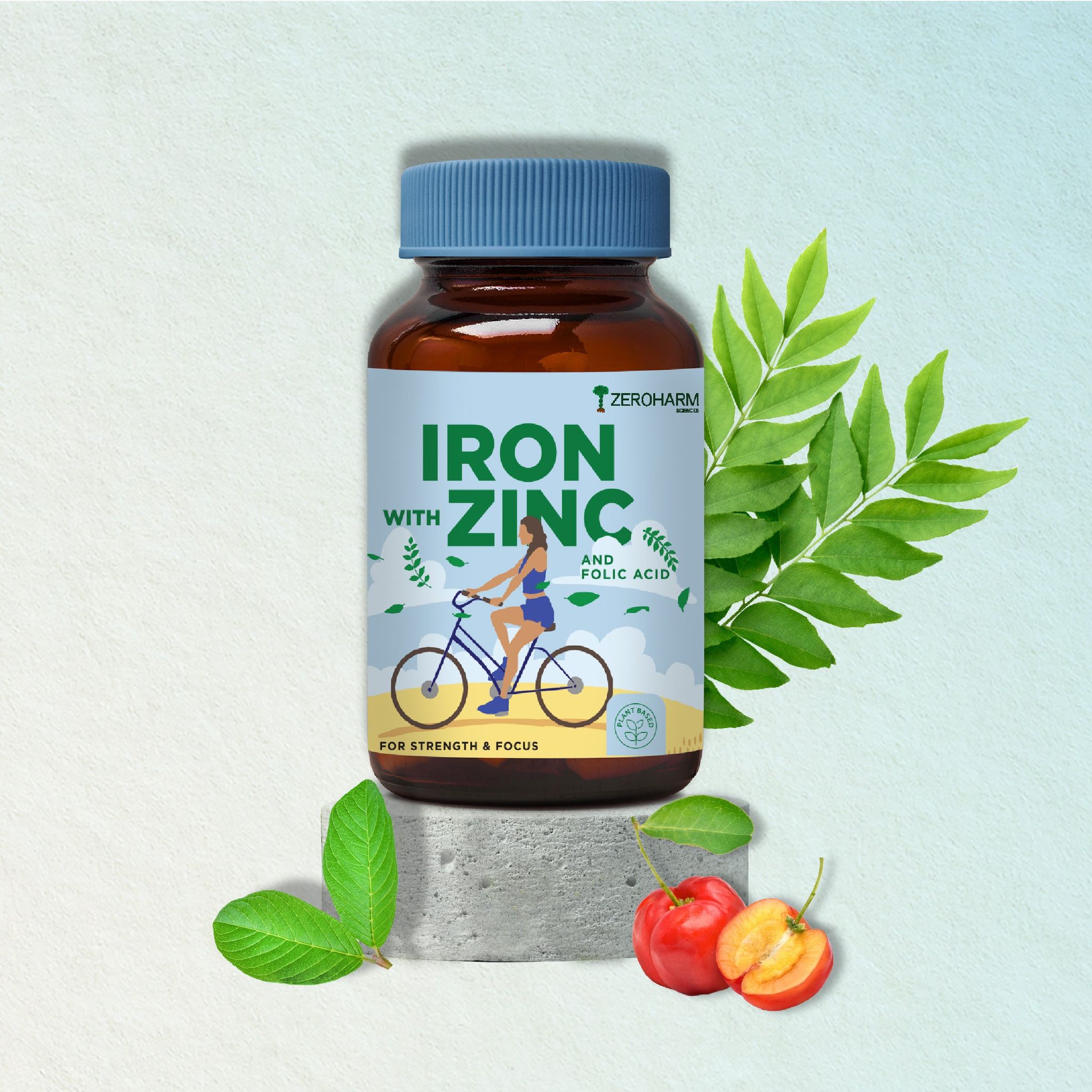 Iron Zinc Folic Acid Vitamin B12 Tablets 120 Tablets