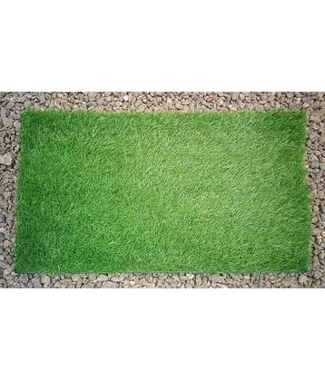 Revexo - Anti-skid Plastic Door Mat ( 40 X 60 cm ) Single - Green