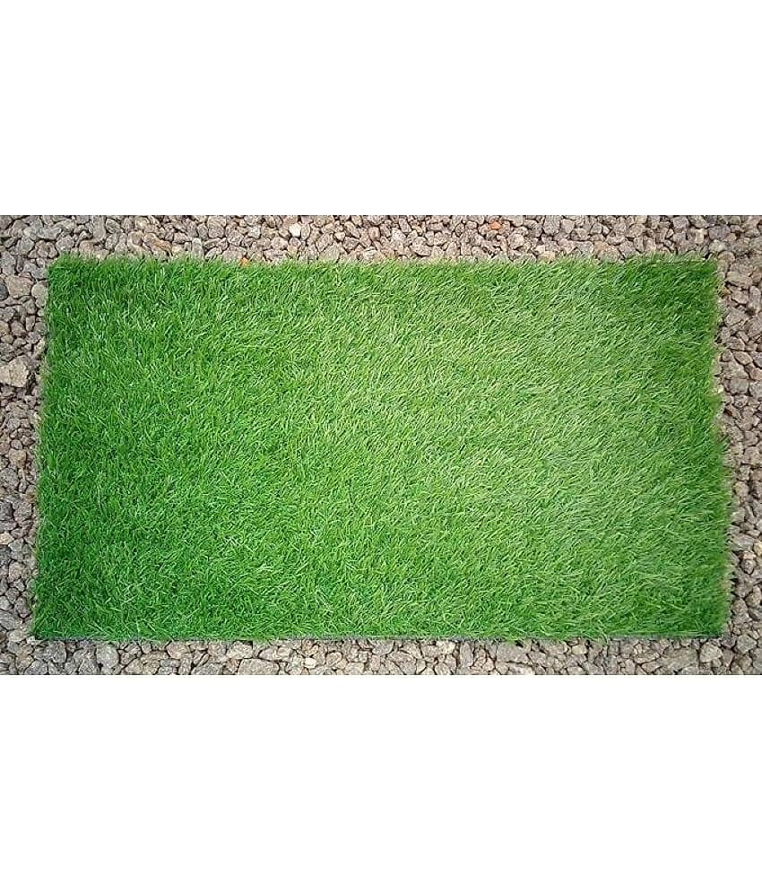 Revexo - Anti-skid Plastic Door Mat ( 40 X 60 cm ) Single - Green