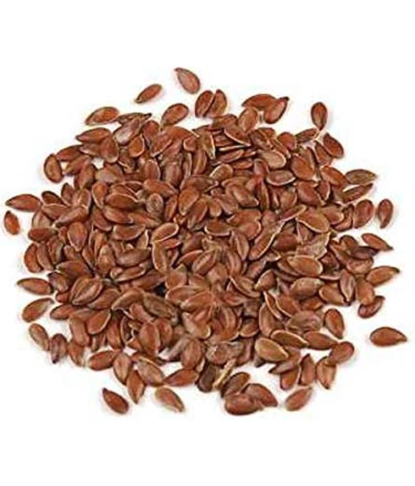 Nutrixia Food Flax Seedroasted 480 gm
