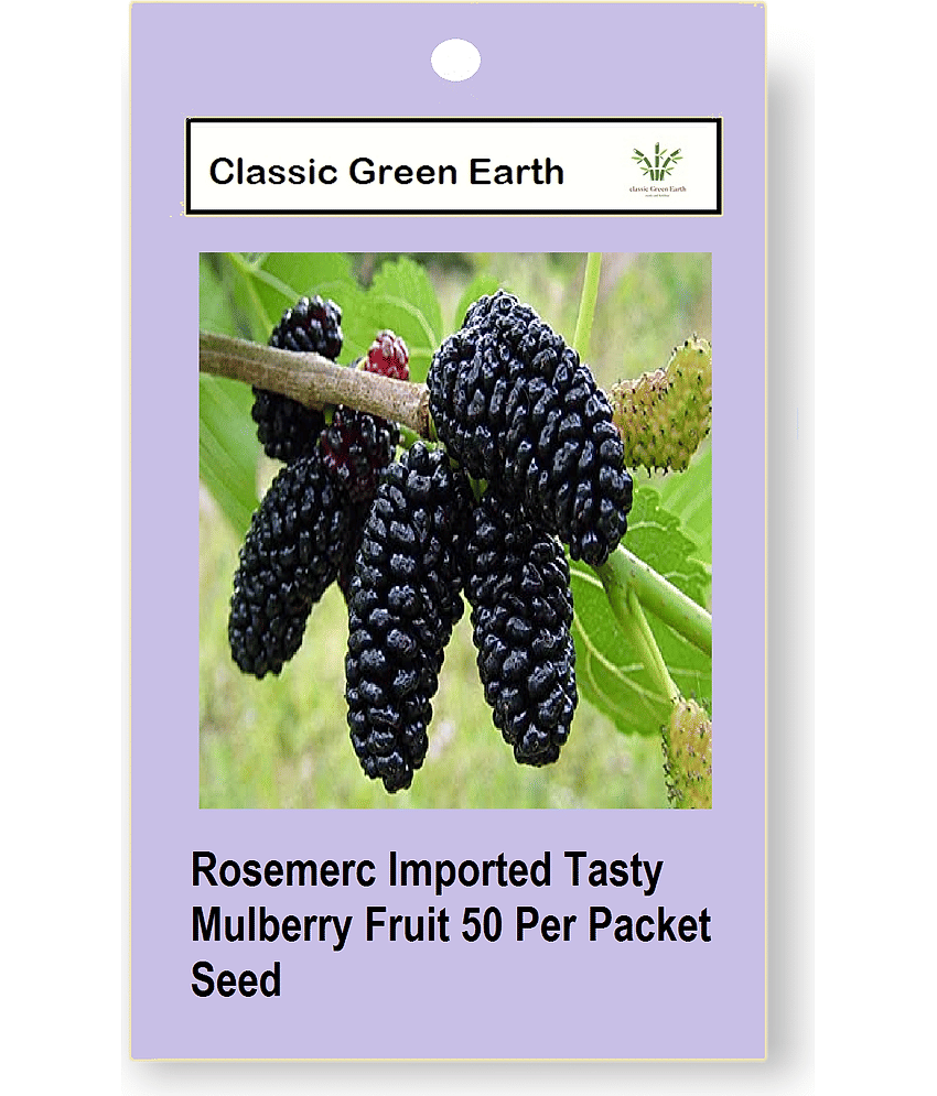 CLASSIC GREEN EARTH - Fruit Seeds ( Rosemerc Imported Tasty Mulberry Fruit 40 seeds )