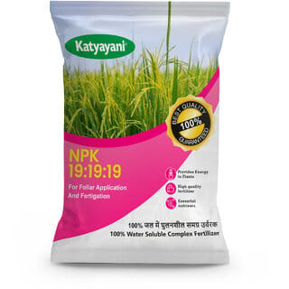 Katyayani NPK 19 19 19 100 Water Soluble for all Plants Garden Hydroponics