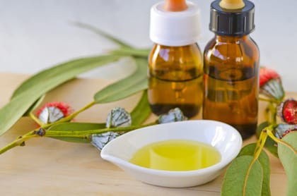 Eucalyptus Hydrosol