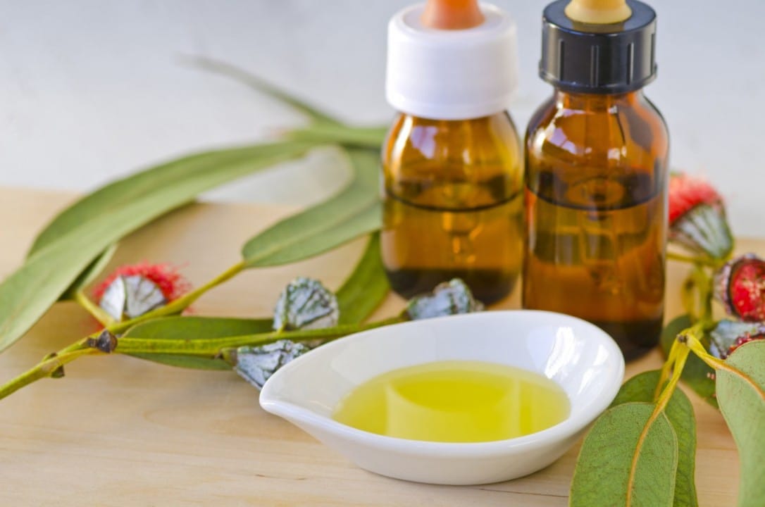 Eucalyptus Hydrosol
