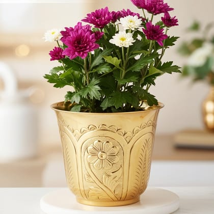 Brass Designer Planter Gamla � Home & Office Decor, Height : 10.5 Inch (FMAS655 F)