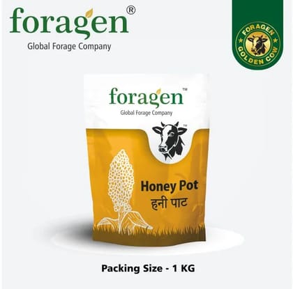 HONEY POT HONEY POT