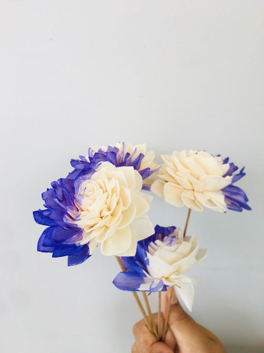 Purple Dahlia Sola Flower (5pcs)