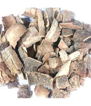 Nutrixia Food Kuda Chhal - Kutaj Chaal Chal - कुटज छाल - Holarrhena Antidysenterica 100 gm