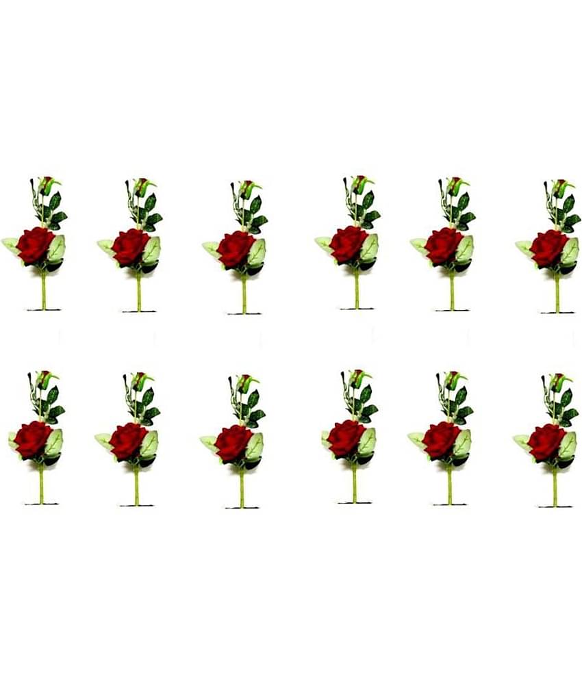 Green plant indoor Rose Red Flowers With Pot - Pack of 12