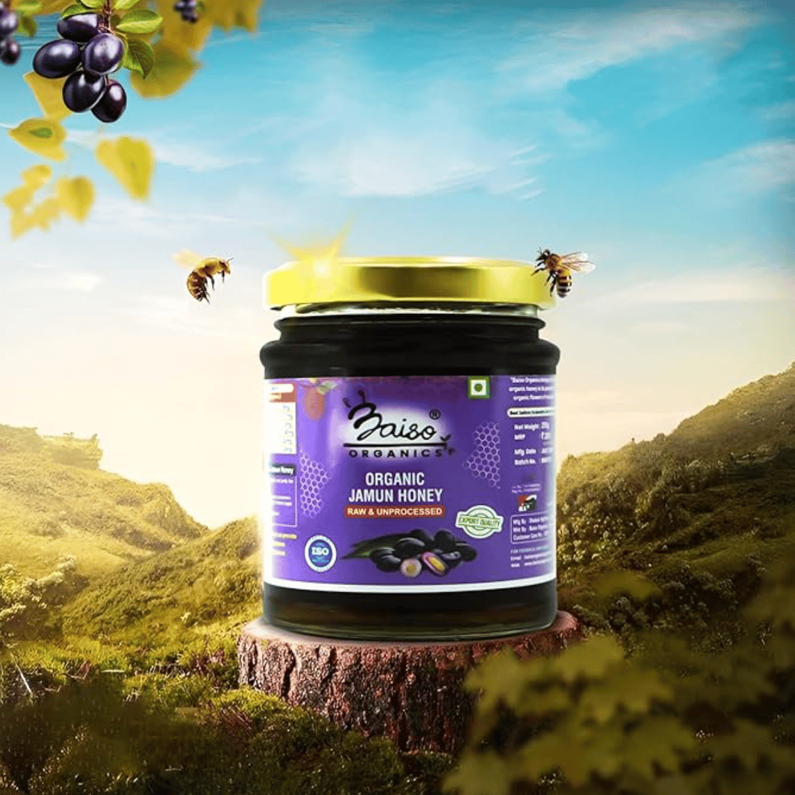 Baiso Organics Raw Unprocessed Natural Jamun Honey - 250gm