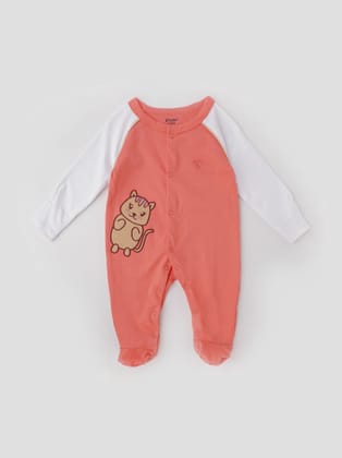 Unisex Embroidered  Raglan Sleeve Sleepsuit-3-6 M