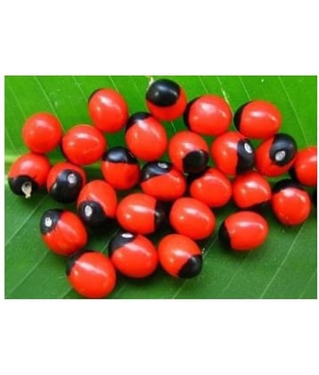 Rakth Gunja - Lal Gunja - Lal Gunj - Chirmi Seeds - Rakth Gunj - Red Gunja - Red Gunj - 51 Pieces
