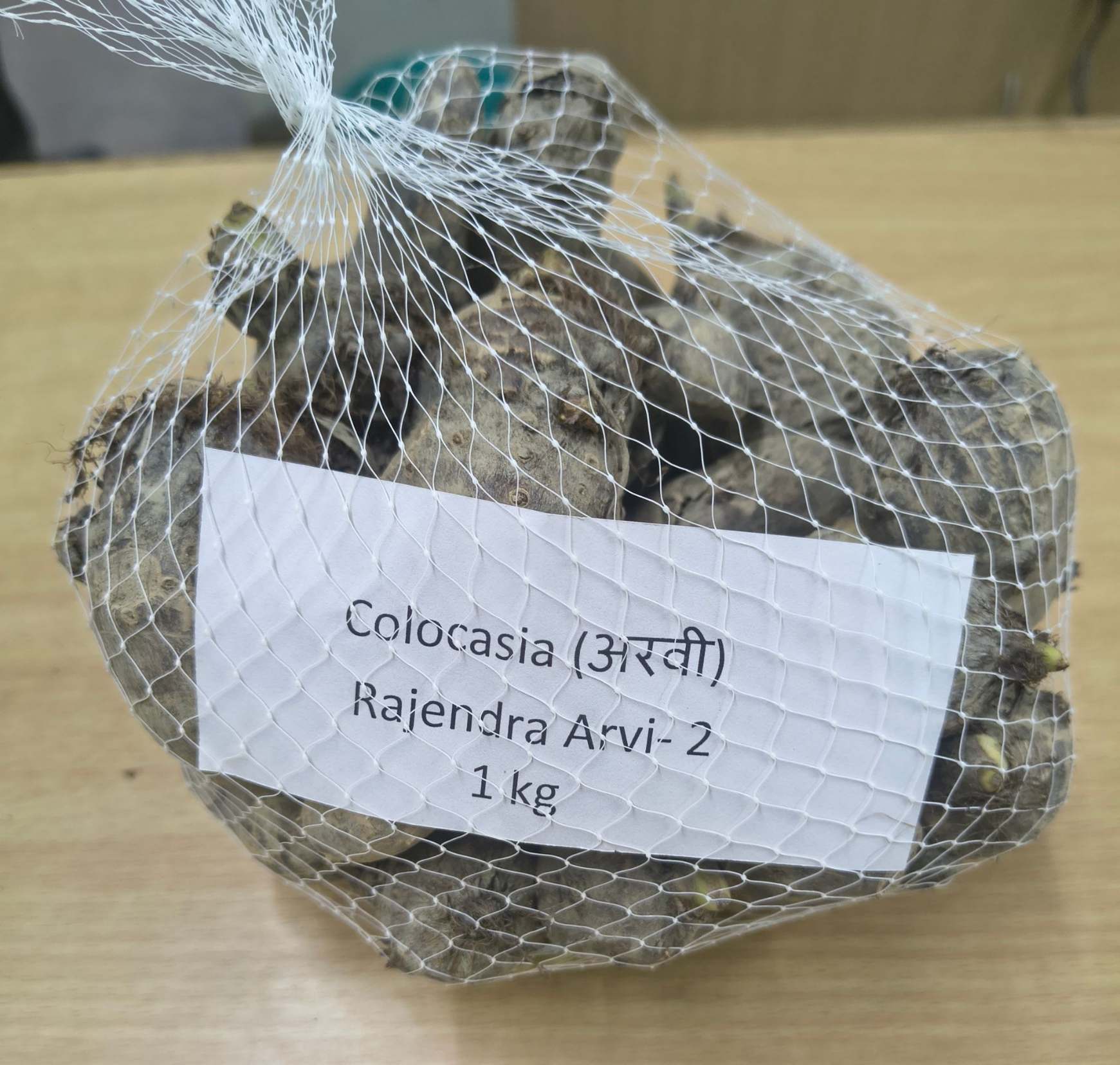 NSC Colocasia(Arvi) Rajendra Arvi-2 Seed/Tubers - 1 kg