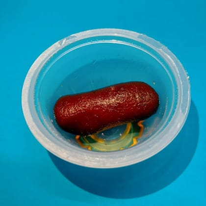 Kala Jamun Sugarfree (1 Piece)