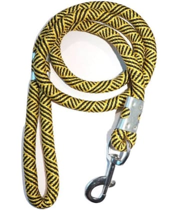 Tame Love - Multicolor Dog Leash (Medium)