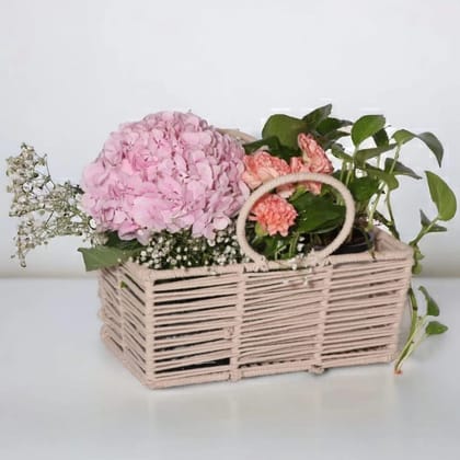 BASKET BLOSSOM