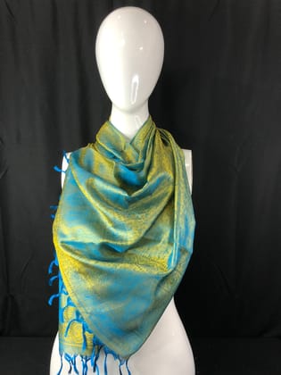 katan Banarsi silk stoles  saree
