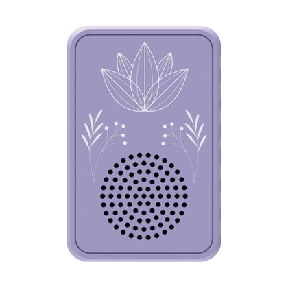 Saregama Carvaan Wellness Plug Play Music Player - Pre-Loaded with 16 Meditation & Wellness Tracks Based on 7 Chakras|