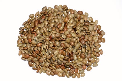 Prakrutimaa Whole Kulthi (1Kg) | Unsplit Horse Gram Prakrutimaa Whole Kulthi (1Kg) | Unsplit Horse Gram
