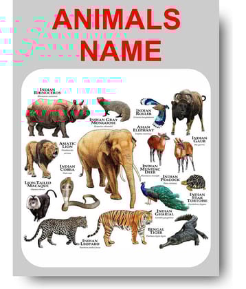 Photojaanic Paper Wall Poster Without Frame