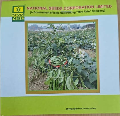 NSC Sem Kashi Bauni 207 Seed 