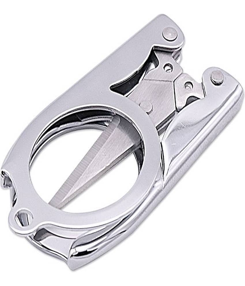 Cailyn Stainless Steel Multipurpose Scissors ( Pack of 1 )