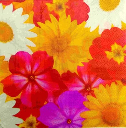 Decoupage Napkin / Tissue papers - LGT1865