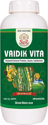 HT- VITA DOSE 1 L