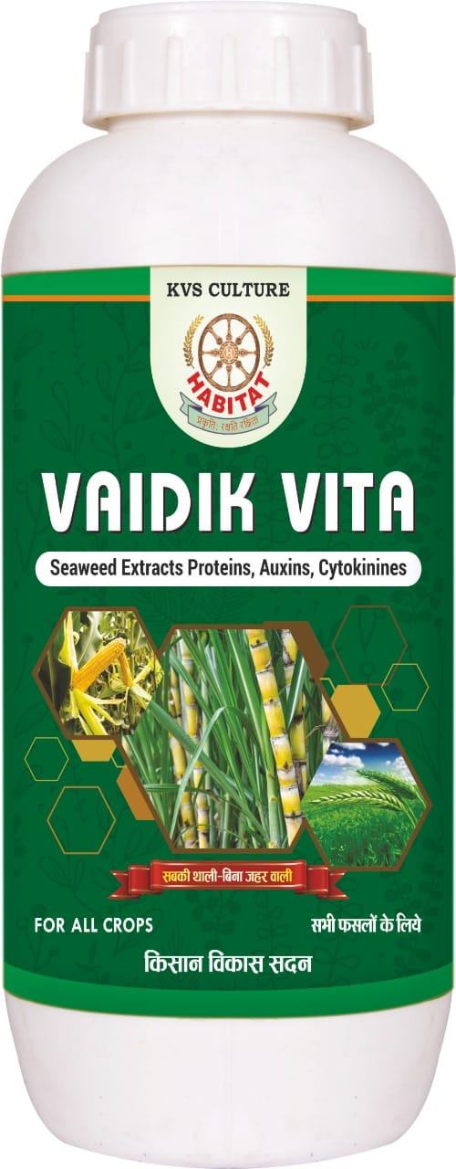 HT- VITA DOSE 1 L